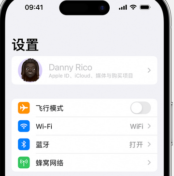 临海appleID维修服务iPhone设置中Apple ID显示为灰色无法使用 