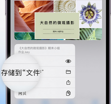 临海apple维修中心分享iPhone文件应用中存储和找到下载文件