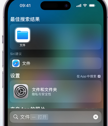 临海apple维修中心分享iPhone文件应用中存储和找到下载文件 