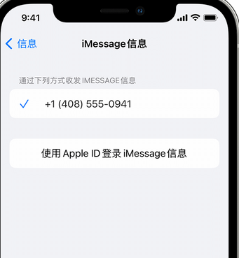 临海apple维修iPhone上无法正常发送iMessage信息 