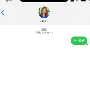 临海apple维修iPhone上无法正常发送iMessage信息