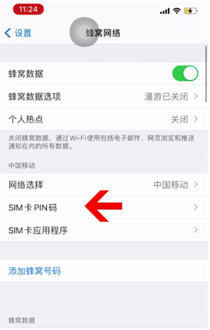 临海苹果14维修网分享如何给iPhone14的SIM卡设置密码 