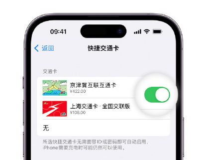 临海apple维修点分享iPhone上更换Apple Pay快捷交通卡手绘卡面 