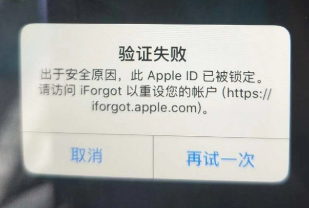 临海iPhone维修分享iPhone上正常登录或使用AppleID怎么办 