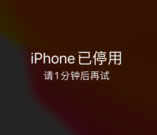 临海苹果手机维修分享:iPhone 显示“不可用”或“已停用”怎么办？还能保留数据吗？ 