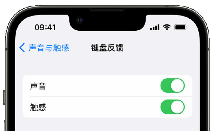 临海苹果手机维修分享iPhone 14触感键盘使用方法 