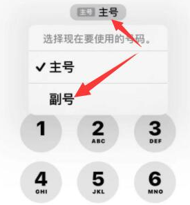 临海苹果14维修店分享iPhone 14 Pro Max使用副卡打电话的方法 