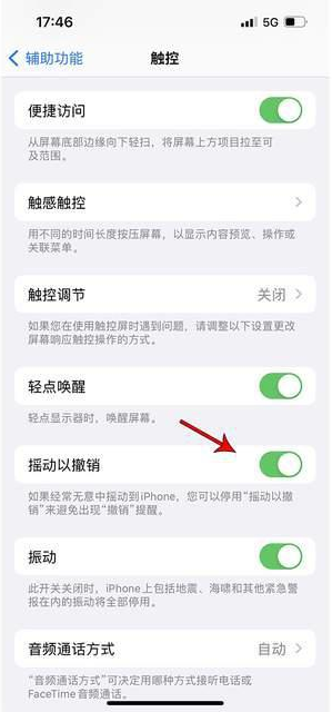 临海苹果手机维修分享iPhone手机如何设置摇一摇删除文字 