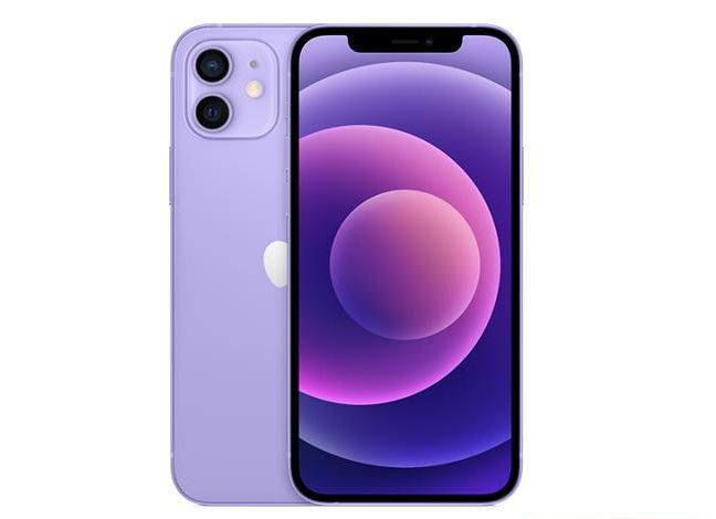 临海苹果手机维修分享现阶段要不要入手紫色版iPhone12 